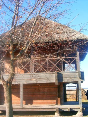 У Завоссі